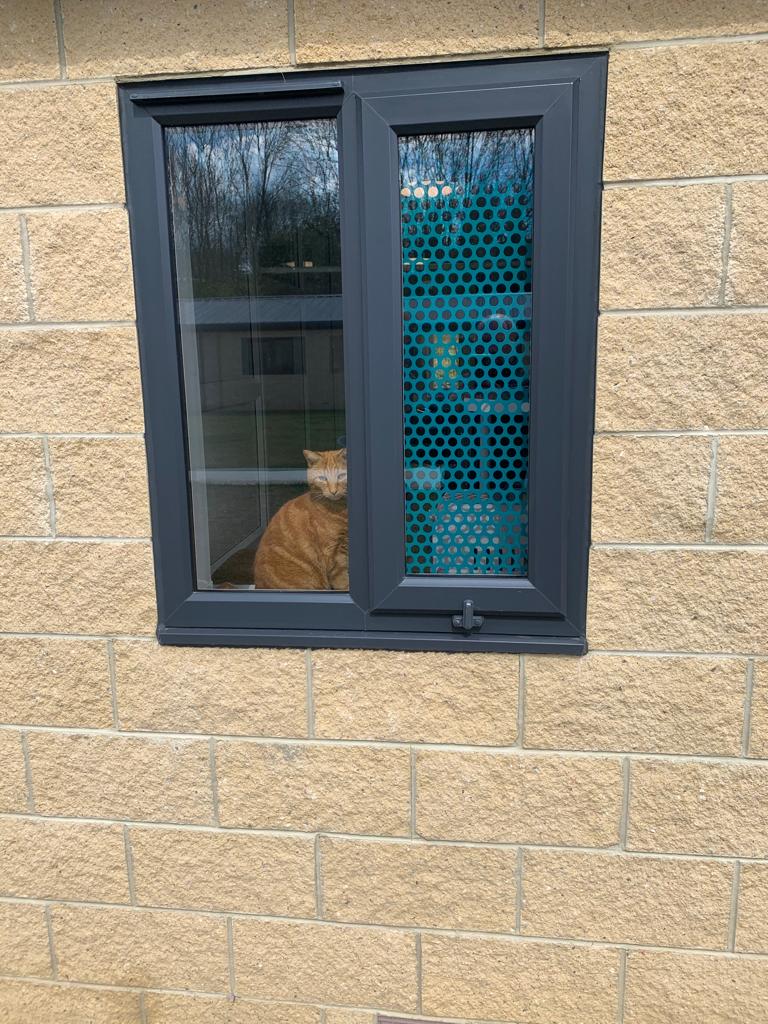 RSPCA Windows and Doors Project